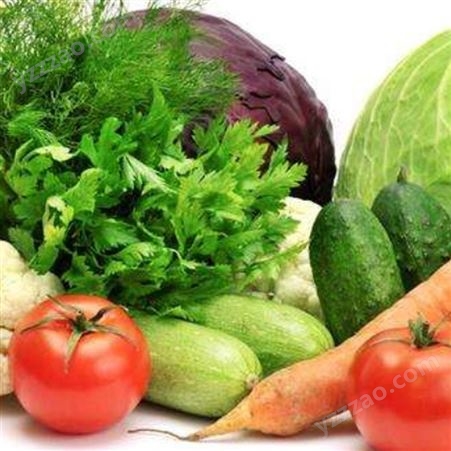 蔬菜配送-一站式优质服务 新鲜果蔬快速配送放心选购